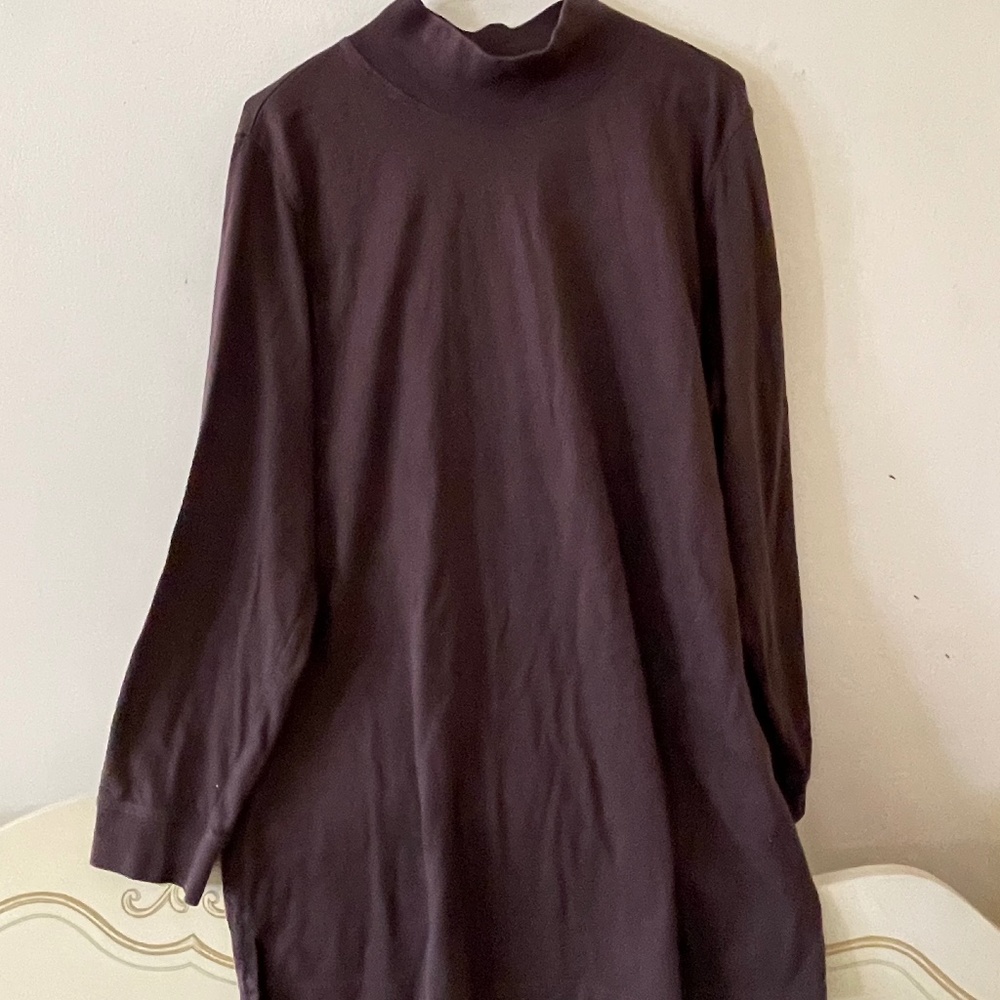 Women Within turtleneck MB34